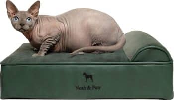NOAH & PAW Small Dog Bed, 20x15x6.5 Inch, Cat Bed