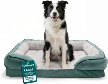 Furhaven Orthopedic Dog Bed