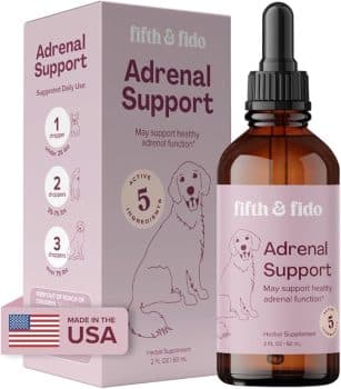 A closer look at Adrenal Support Dog Food For Cortisol Issues