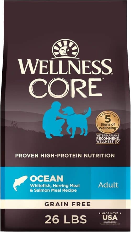 Fresh Look at 8 Best Dog Foods Without Corn Wheat Soy