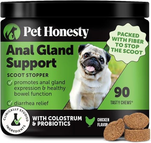 6 Best Fiber Supplements for Dogs - iHeartDogs.com