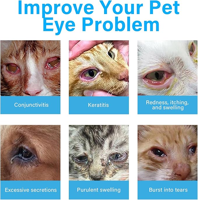 Dog Eye Drops