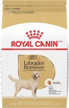 Royal Canin Labrador Retriever Adult Dry Dog Food