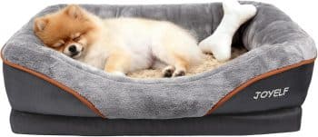 JOYELF Memory Foam Dog Bed