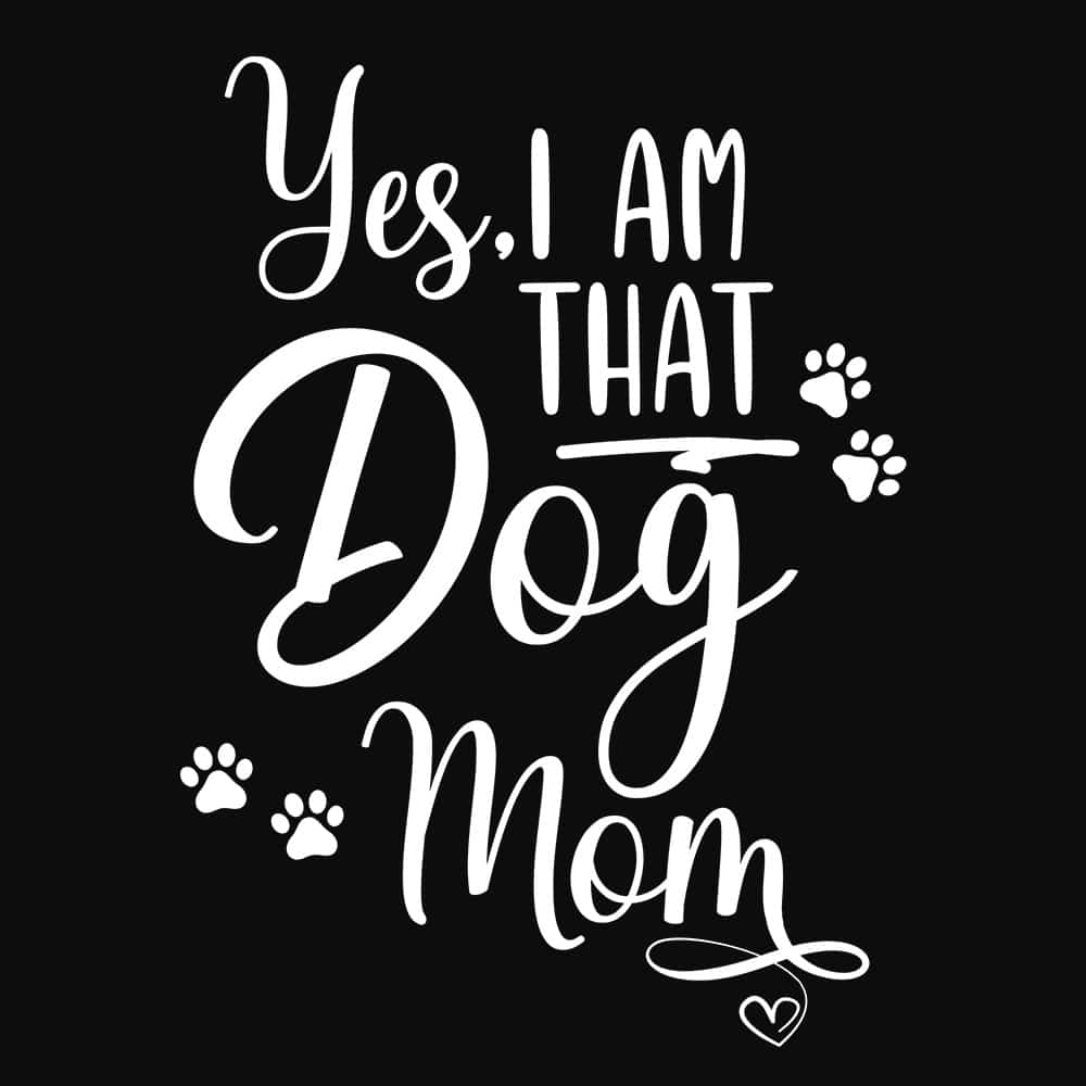 Secondary Product Image