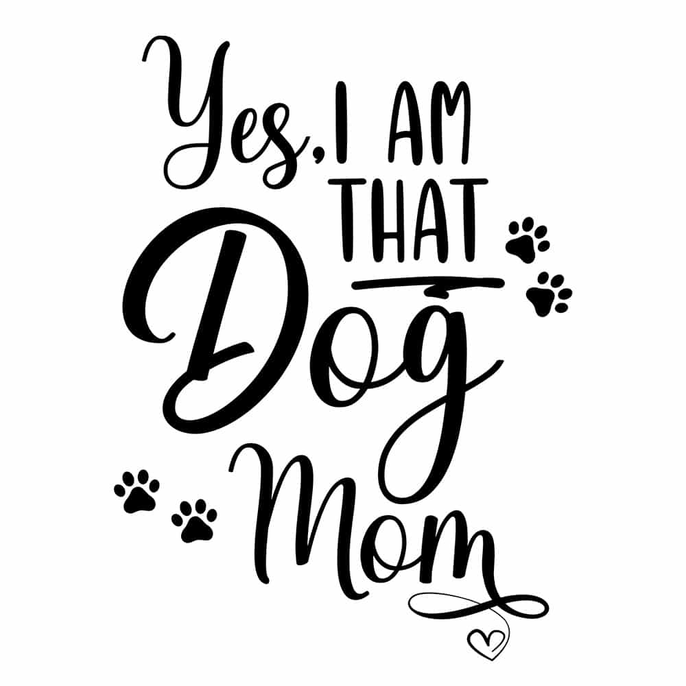 Secondary Product Image