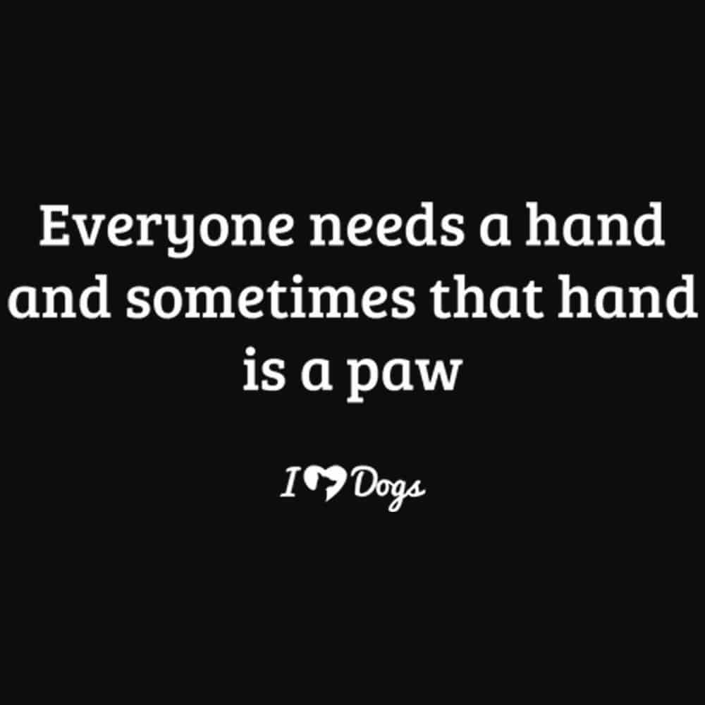 Secondary Product Image