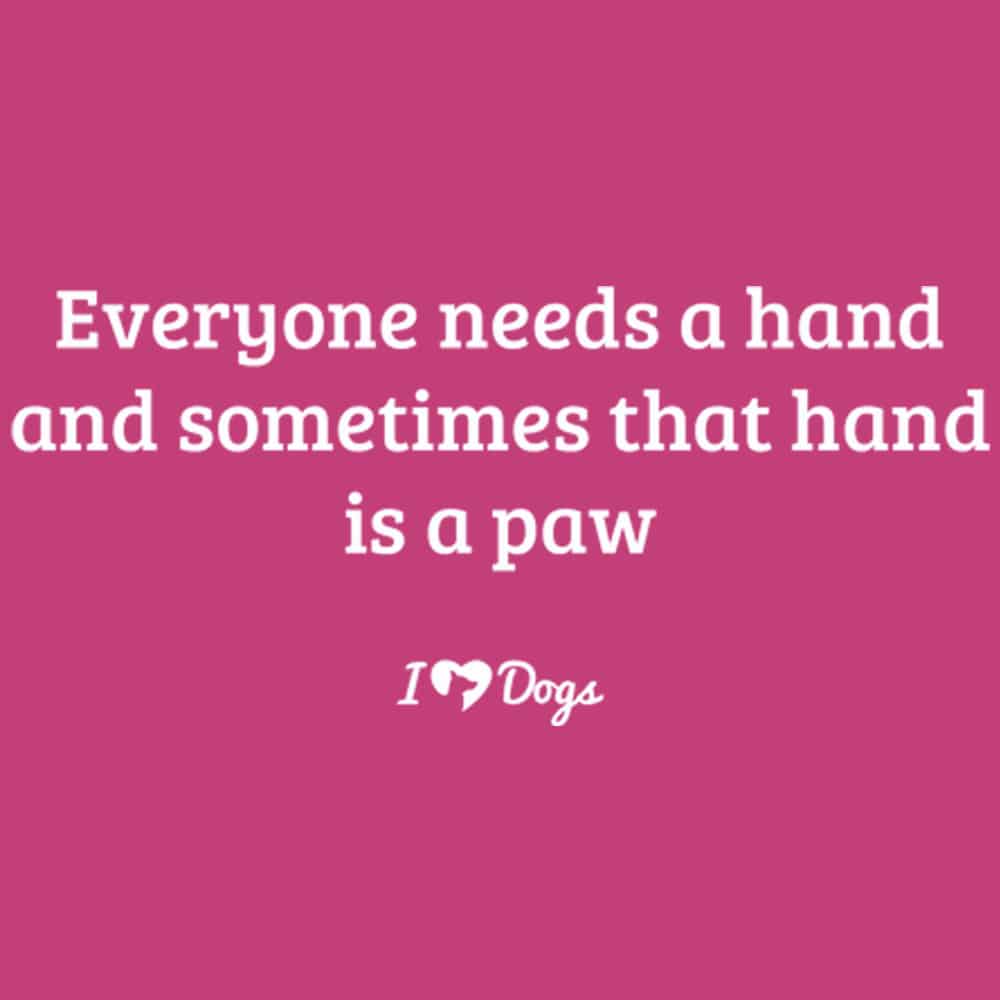 Secondary Product Image