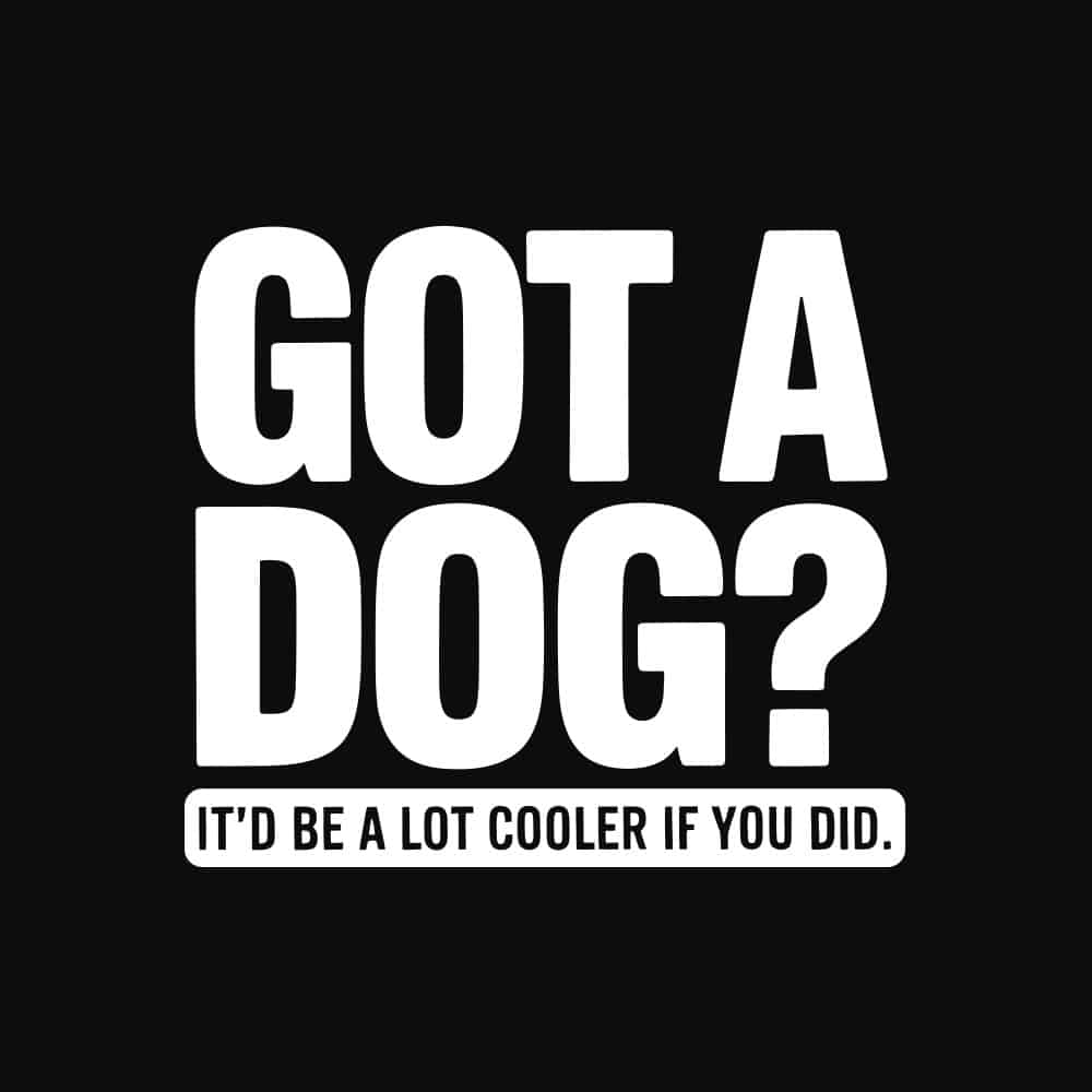 Secondary Product Image