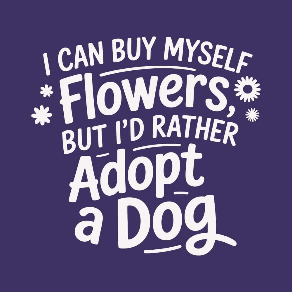 Secondary Product Image