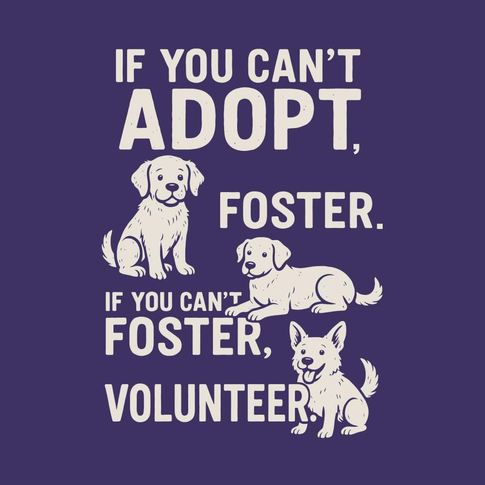 Secondary Product Image