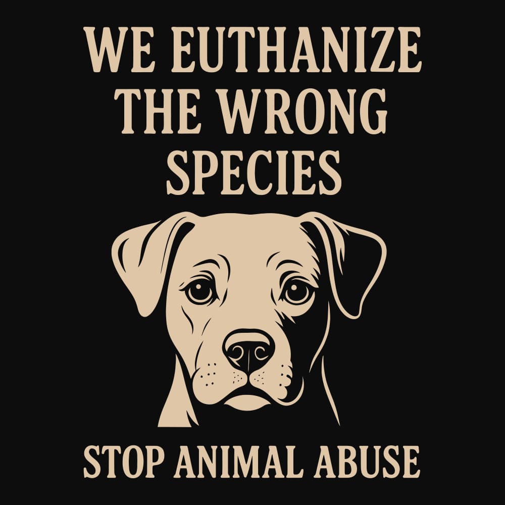 Secondary Product Image