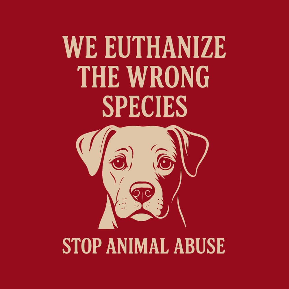 Secondary Product Image