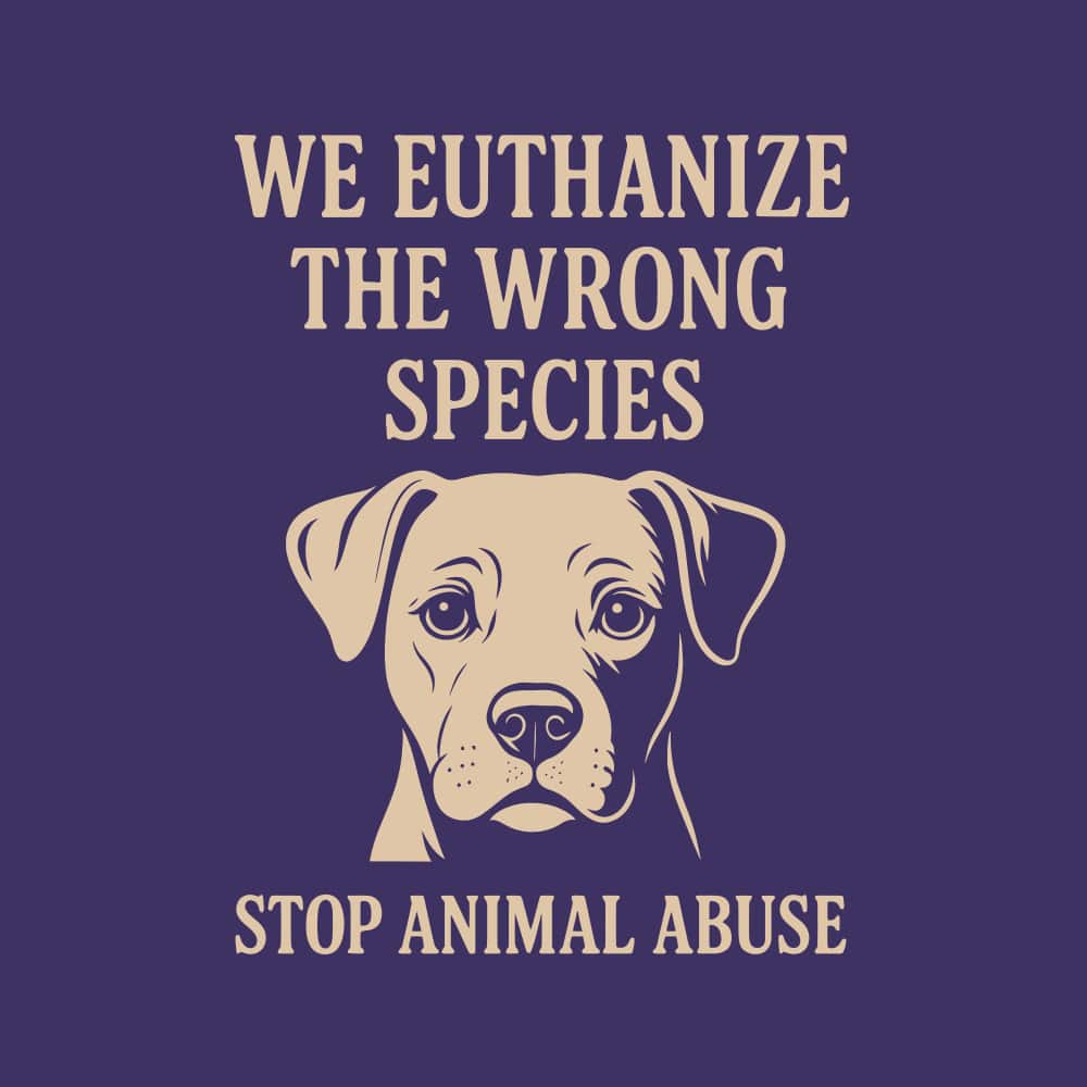 Secondary Product Image