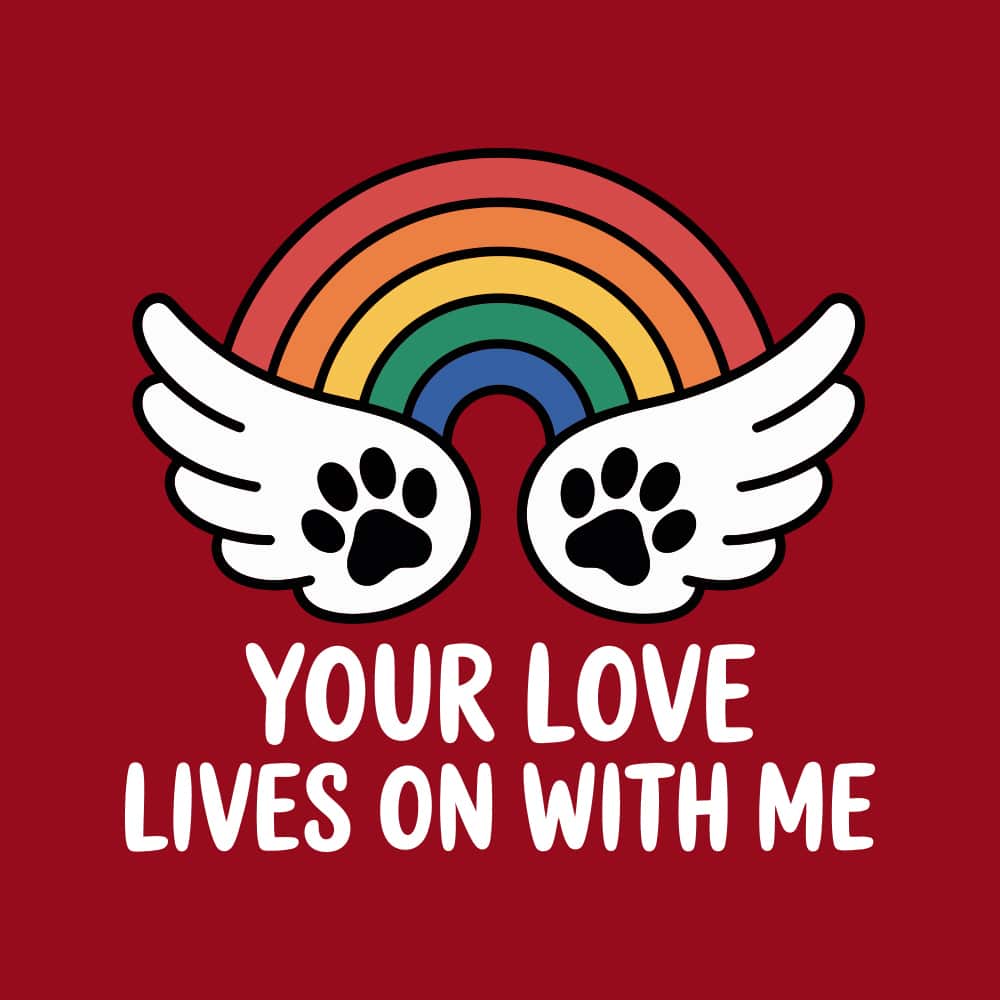 Secondary Product Image