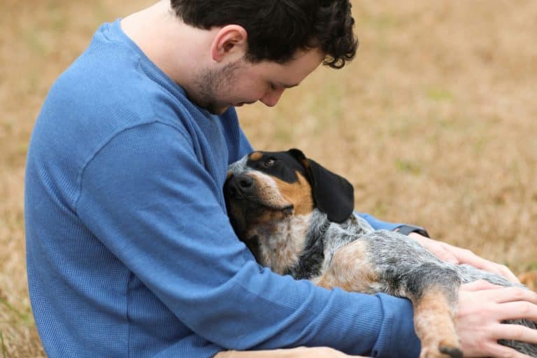 Image showcasing 9 Ways Dogs Help Lower Stress Levels (Backed By Science) - iHeartDogs.com