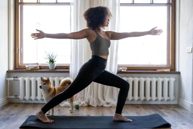9 Ways Dogs Help Lower Stress Levels (Backed By Science) - iHeartDogs.com - Dogs And Stress Reduction Techniques Using Banana Parade