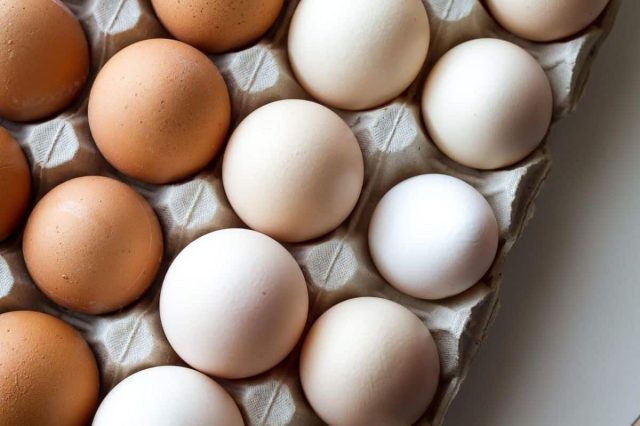 brown and white eggs in a cardboard egg carton closeup