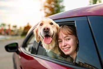 PetWireDaily — 11 Dog Breeds That Are Always Ready For A Summer Road Trip