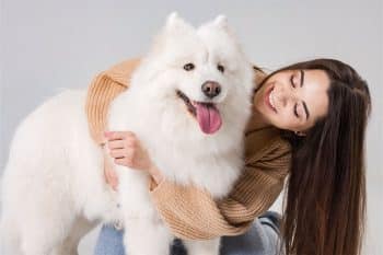 PetWireDaily — 15 Fluffy Dog Breeds Everyone Loves To Hug