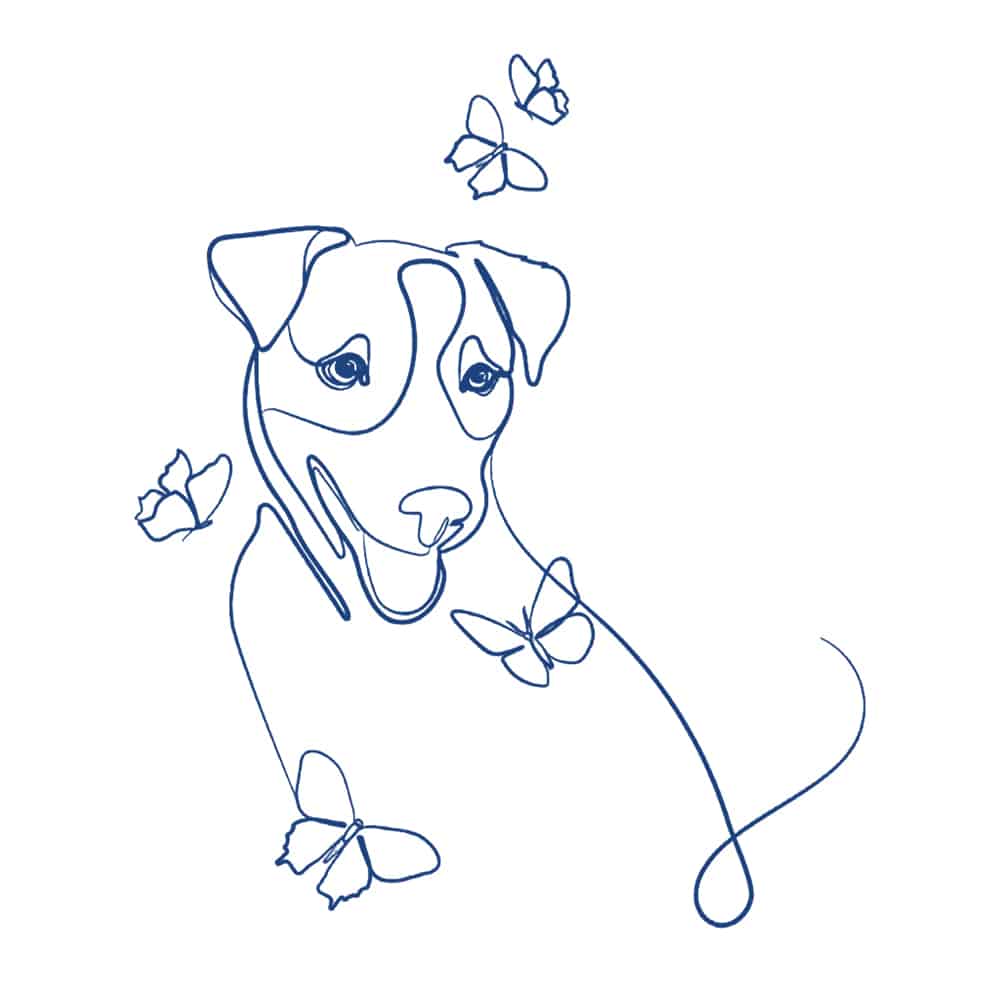 Secondary Product Image