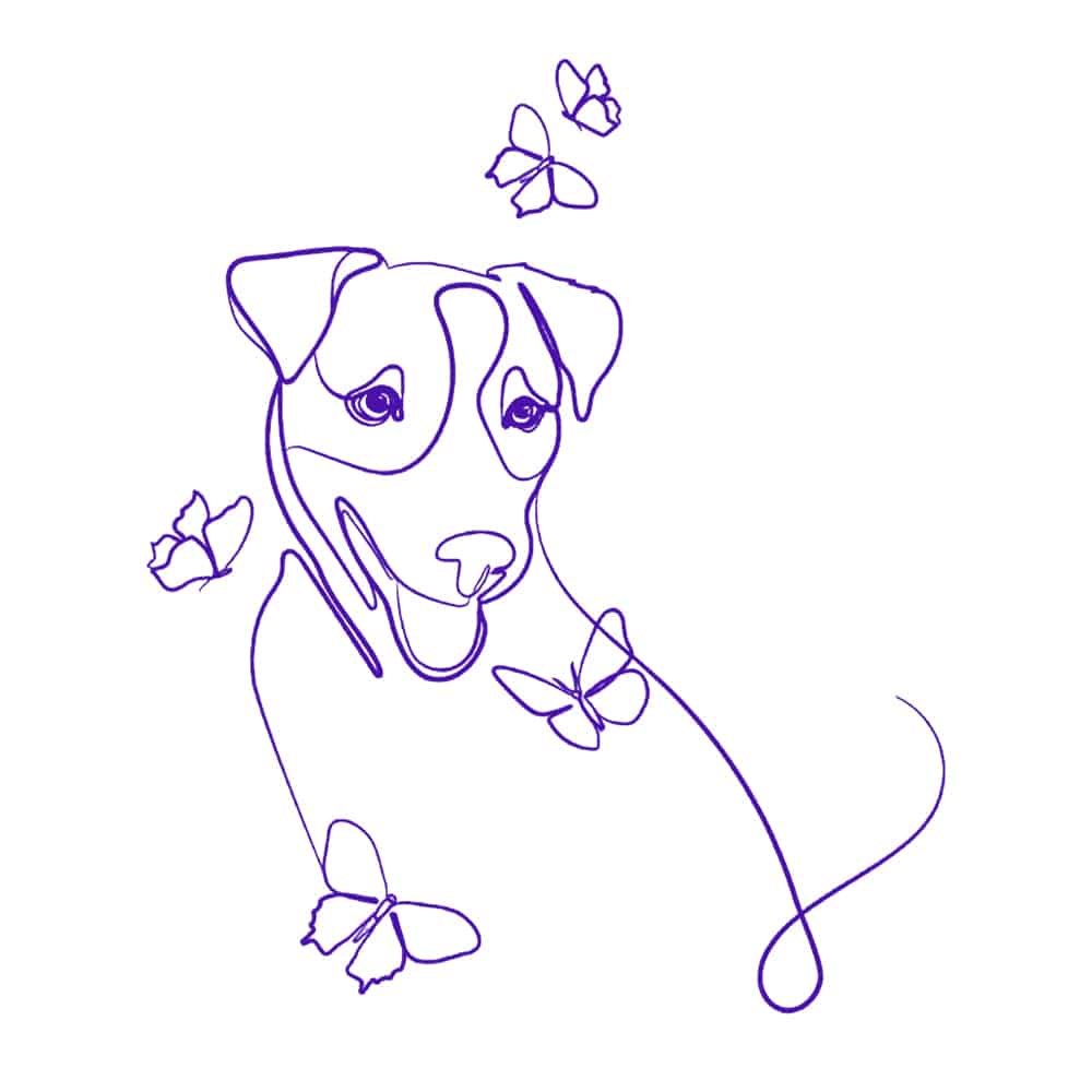 Secondary Product Image