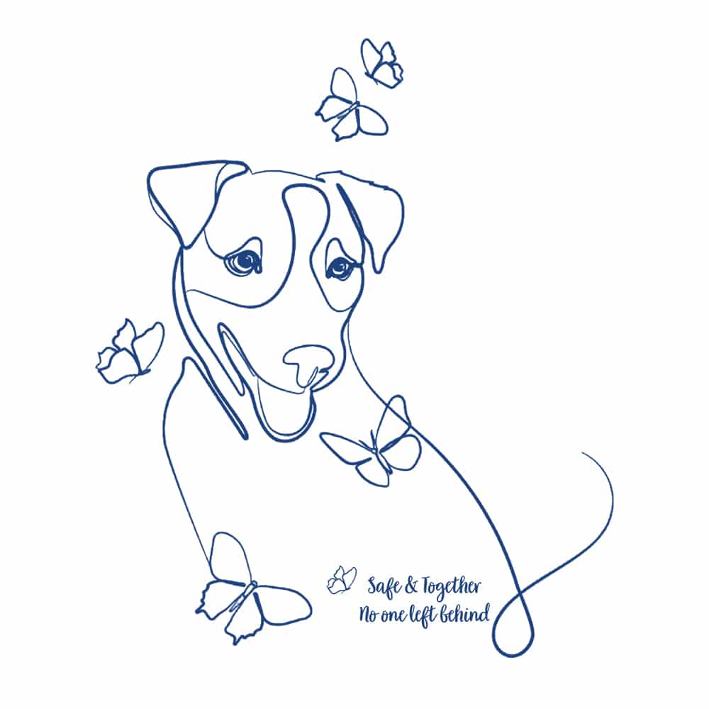 Secondary Product Image