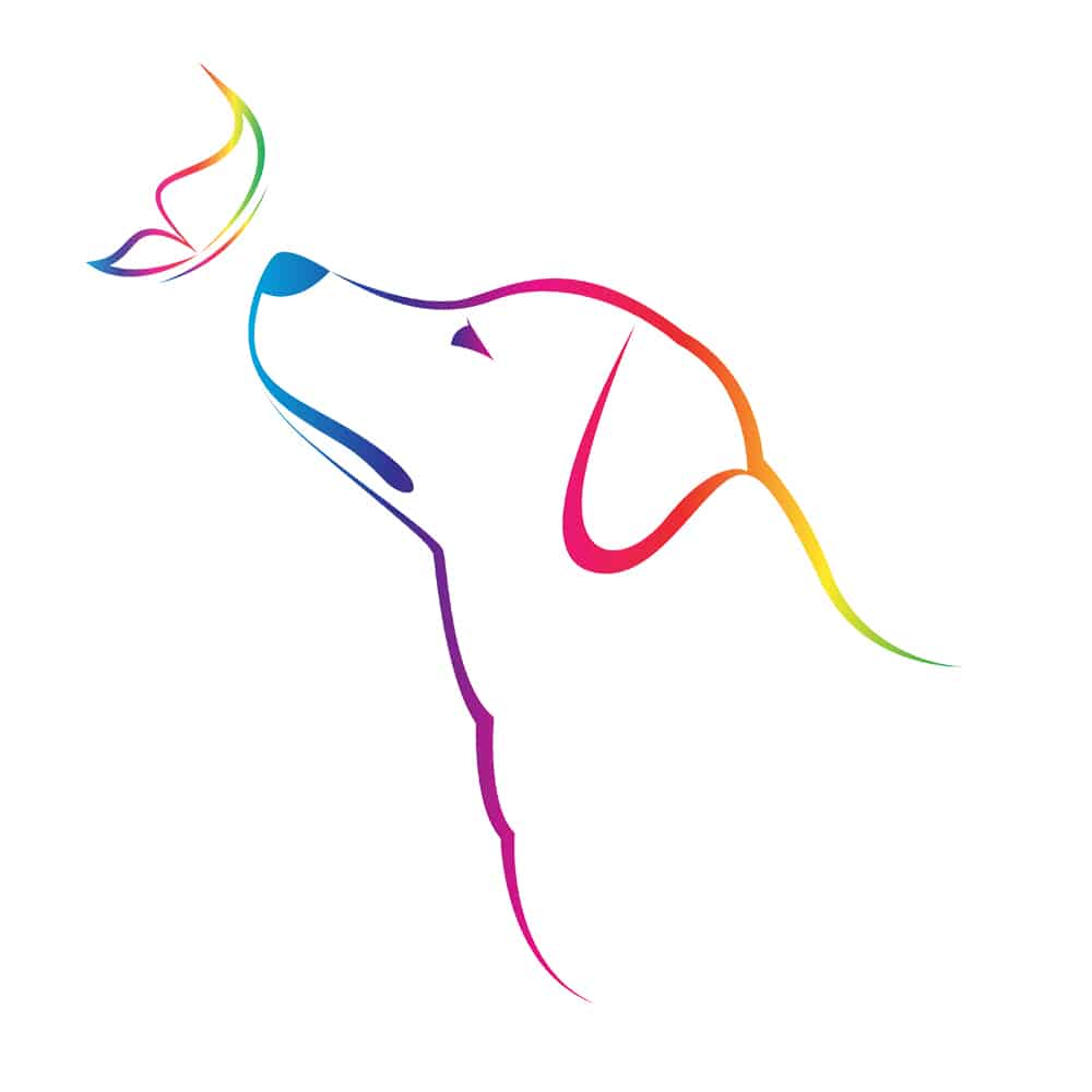 Secondary Product Image