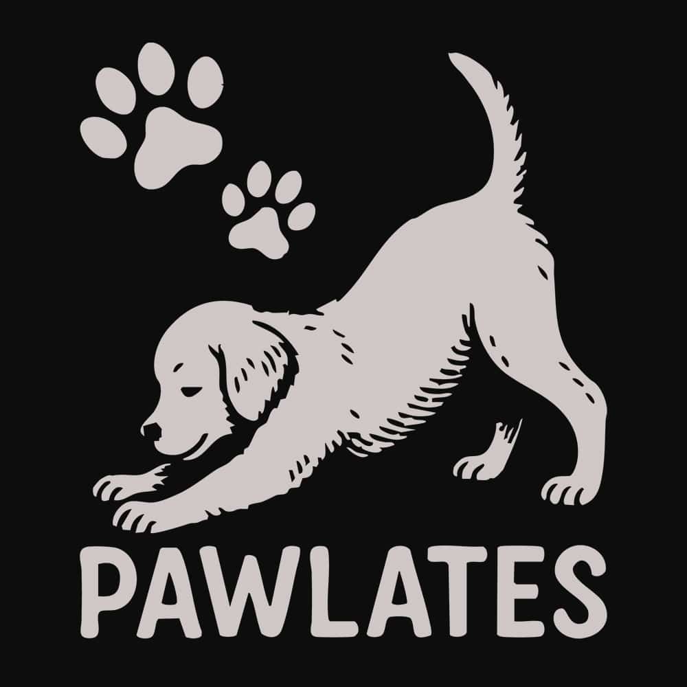 Secondary Product Image