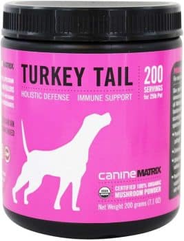 Mushroom Matrix Canine Organic Mushroom Powder Turkey Tail Immune Support and Holistic Defense Supplement