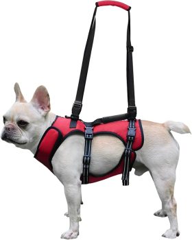 Dog Lift Harness, Full Body Support & Recovery Sling