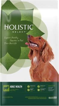 Holistic Select Natural Dry Dog Food, Lamb Meal Recipe
