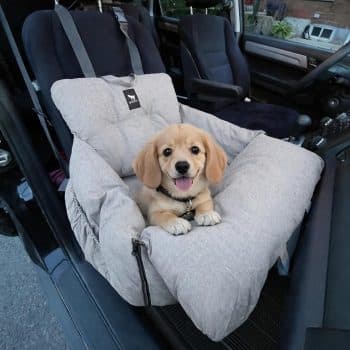 JACKO & CO Premium Dog Car Seat