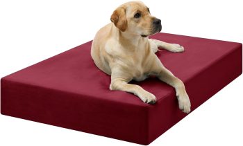  Barker Beds Large Orthopedic Dog Bed