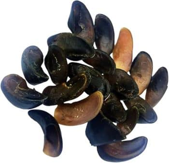 Water Buffalo Hooves – 20 Pack