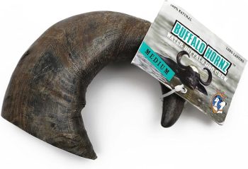 QT Dog Medium Water Buffalo Horn