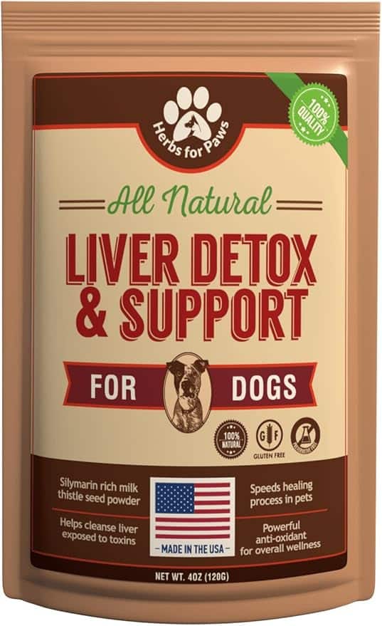 A closer look at Can Dogs Eat Wild Artichoke Thistle