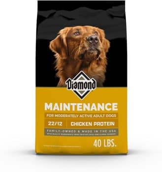 Diamond Maintenance Adult Dry Dog Food 22/12 for Moderately Active Dogs