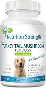 Turkey Tail Mushroom for Dogs