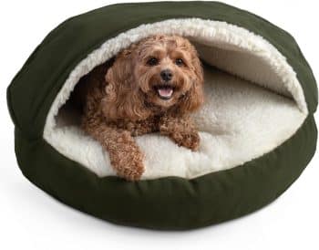 Snoozer Cozy Cave Dog Bed
