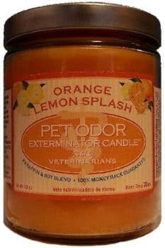 Pet Odor Exterminator Candle, Orange Lemon Splash