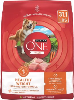 Purina ONE Plus Healthy Weight High-Protein Dog Food Dry Formula