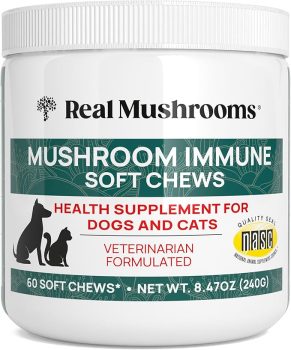 Real Mushrooms Soft Chews for Pets