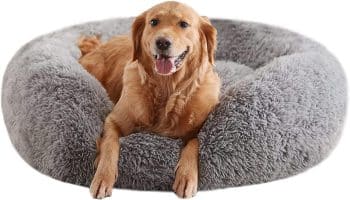Calming Dog Beds for Large Dogs