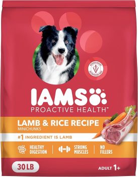 IAMS Proactive Health Minichunks Adult Dry Dog Food