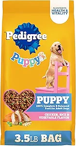 Pedigree Dry Puppy Food, Puppy Dry Food with Chicken, Rice, and Vegetable Flavor