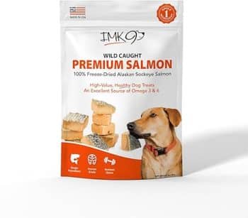 Freeze Dried Salmon Dog Treats