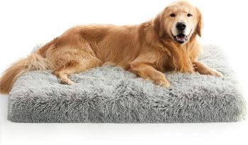 Large Dog Bed, Orthopedic Egg Crate Foam Dog Bed