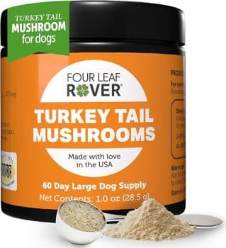 Turkey Tail Mushroom for Dogs