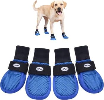  Dog Shoes for Medium to Large Dogs